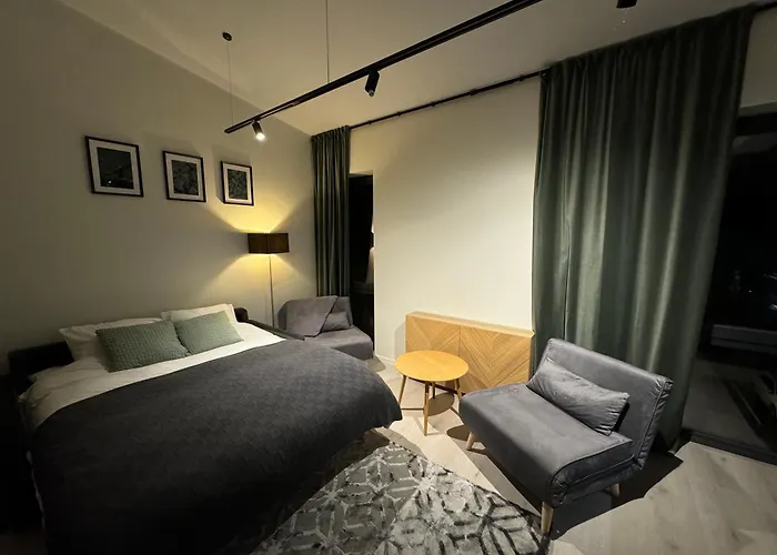 Hermanni Korter Apartament Tallin