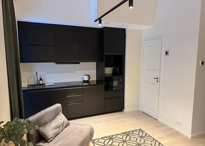 Hermanni Korter Apartament Tallin